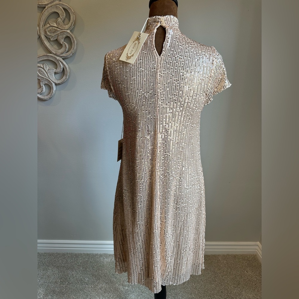 JOYFOLIE Mia Joy Michelle Dress In Champagne - Picture 13 of 16